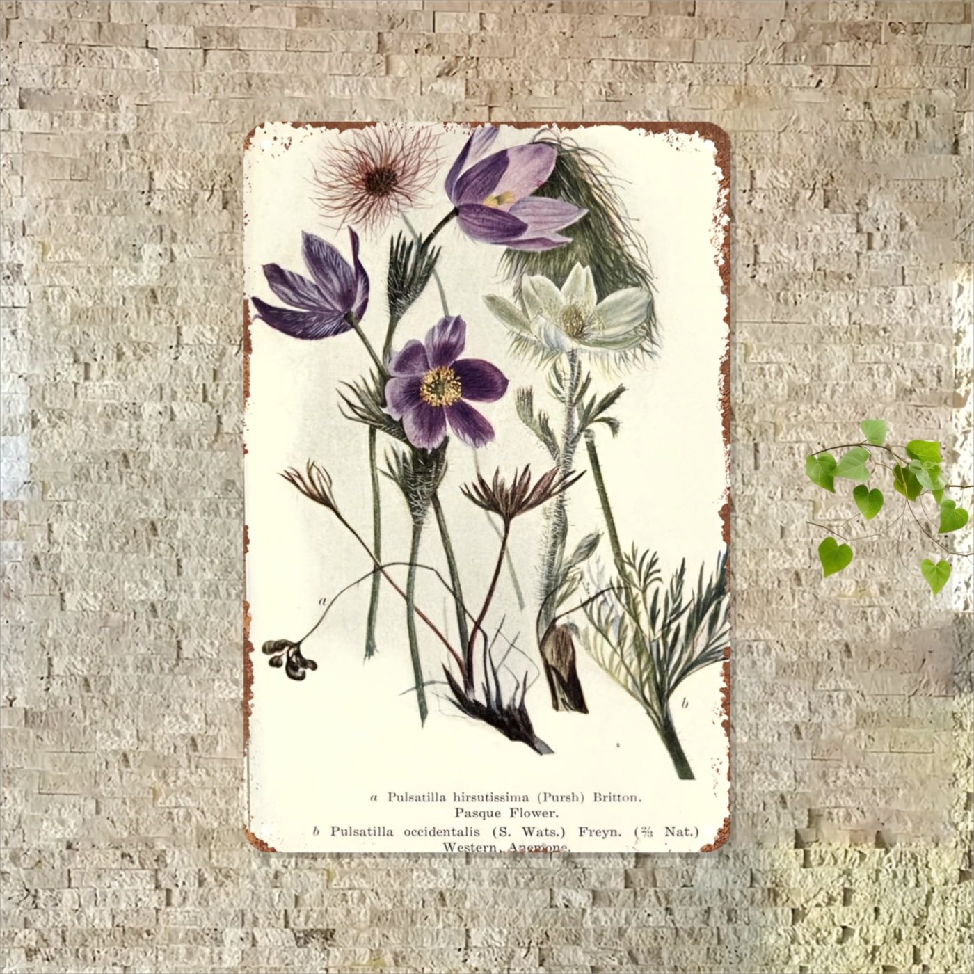 Decoração de Parede Floral em  - Home Office Kitchen avaliação e preço