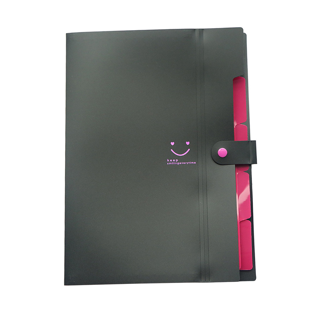 Pasta Expansível de Plástico c - Home Office Organization avaliação e preço